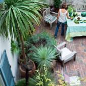 Optez pour les plantes d'intérieur et leur alimentation à l'engrais canna